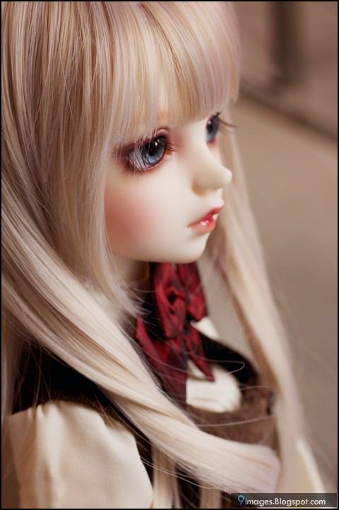 dolls 8 ตุ๊กตาน่ารักสวยเซ็กซี่