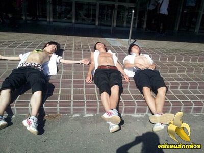 ของคาวอิป้าเอง