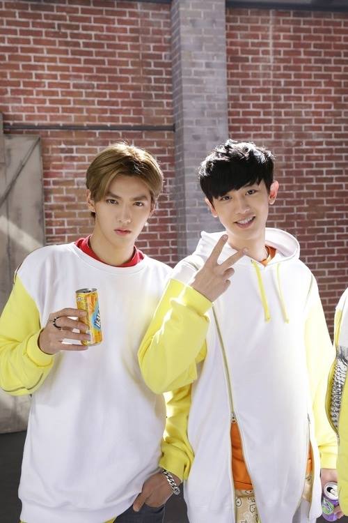 kris exo
