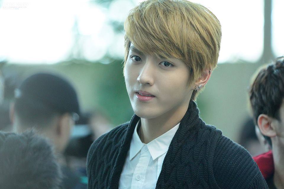 kris exo