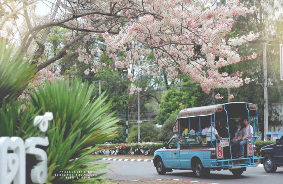 มหาวิทยาลัยขอนแก่น ดินแดนที่ราบสูง 2014