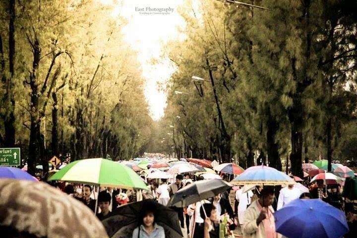 ถนนหน้าหอประชุม มข. วันรับปริญญา ฝนตกลงมา ทำให้ได้ภาพคล้ายที่ญี่ปุ่น