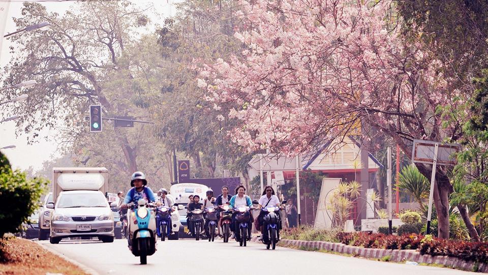 มหาวิทยาลัยขอนแก่น ดินแดนที่ราบสูง 2014