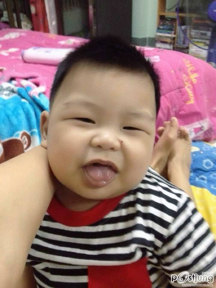 หมูอ้วน