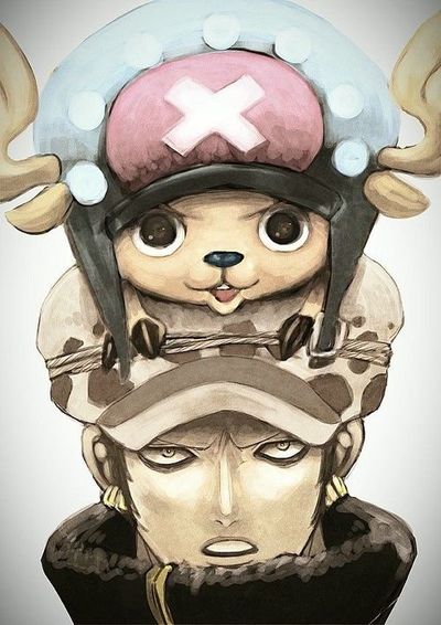 คนรัก trafalgar law