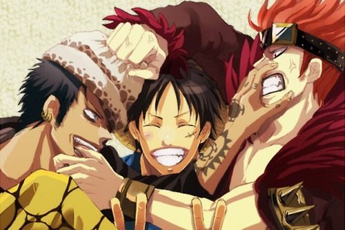 คนรัก trafalgar law