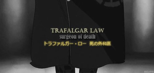 คนรัก trafalgar law