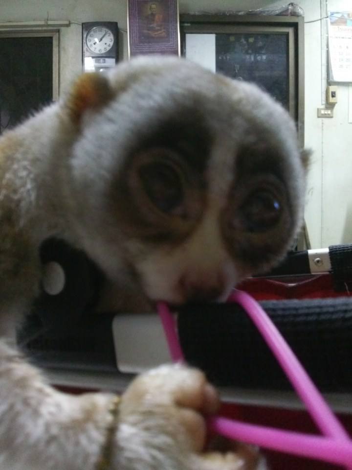 แทะกะนู๋ป่าวสนุกนะ
