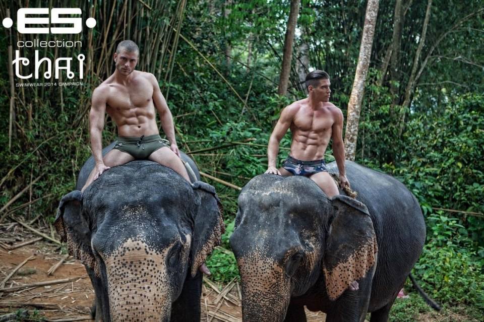 ES Collection 2014 "THAI" Set 1