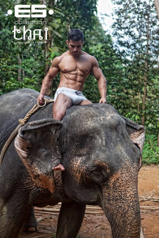 ES Collection 2014 "THAI" Set 1