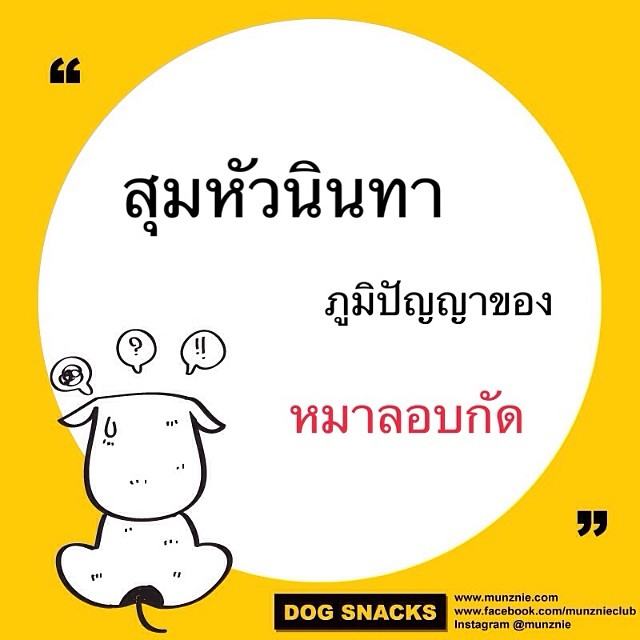 คำคม หมา หมา