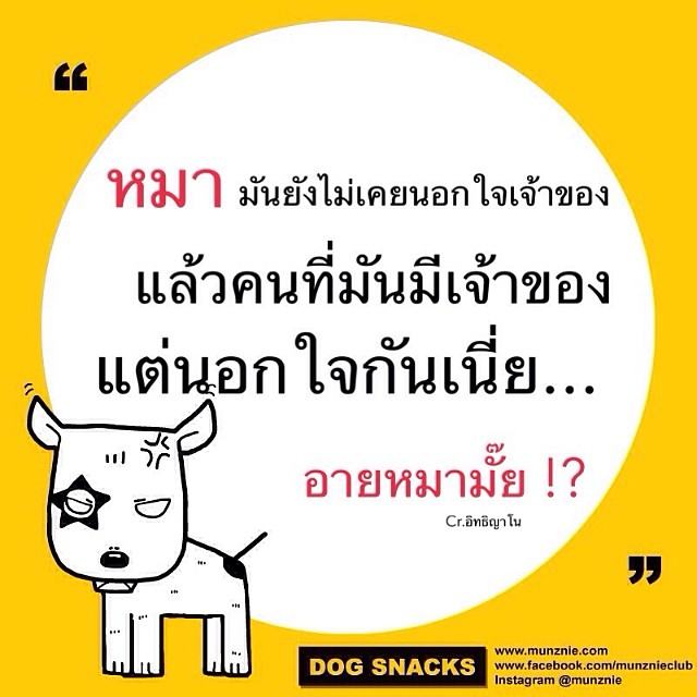 คำคม หมา หมา