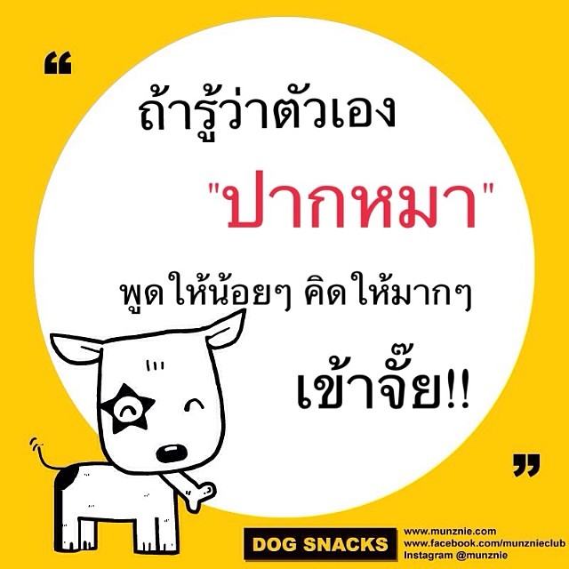 คำคม หมา หมา