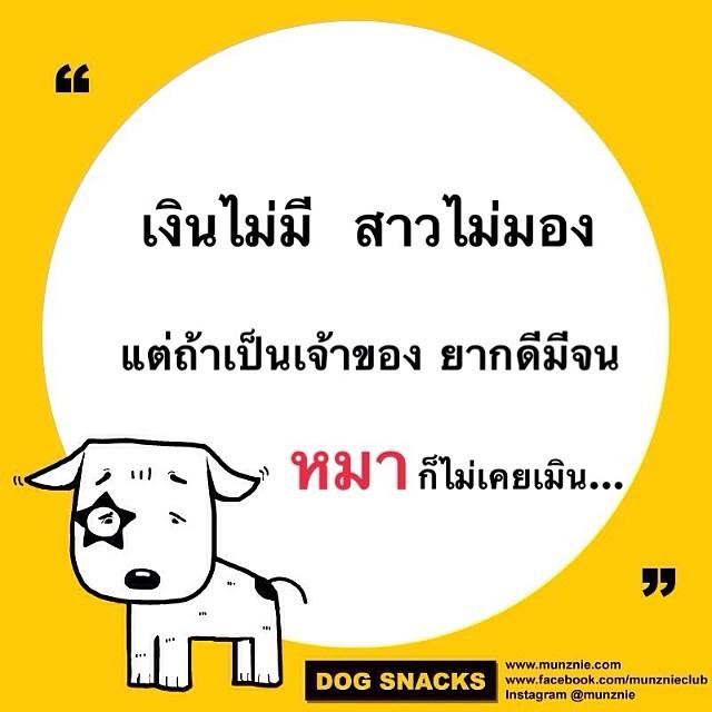 คำคม หมา หมา