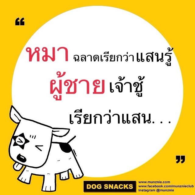 คำคม หมา หมา