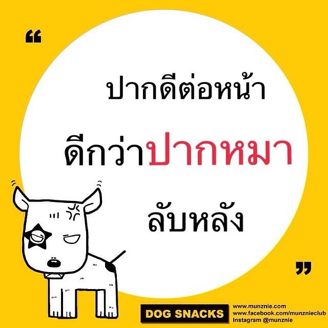 คำคม หมา หมา