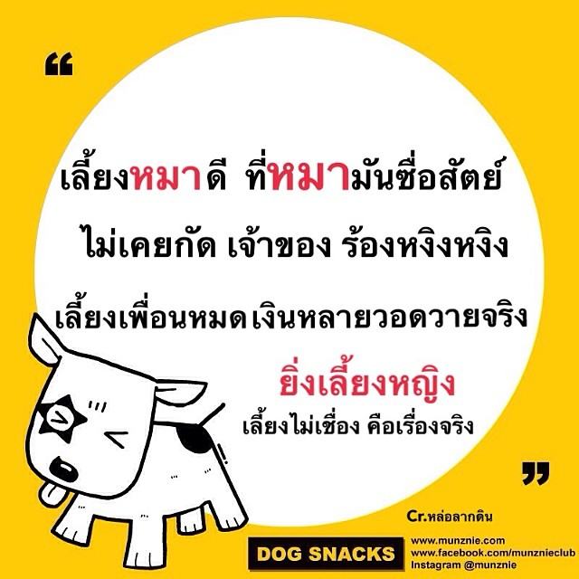 คำคม หมา หมา