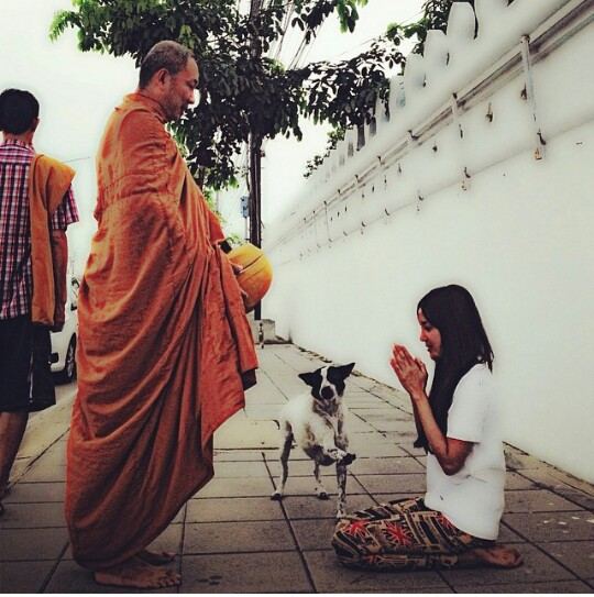 เปิ้ล ไอริณ นางฟ้าที่ลงมาซื้อขนตากับคอนแทคเลนท์