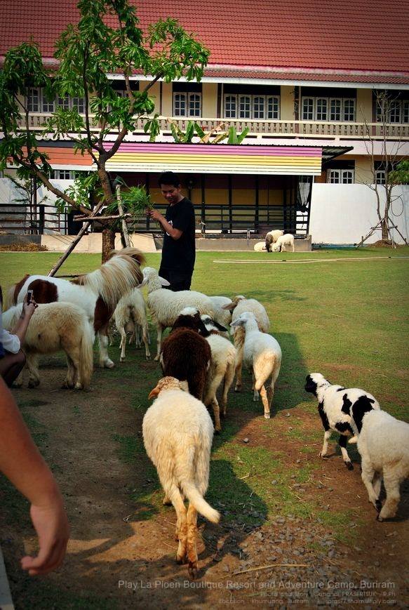 &ldquo;เพ ลา เพลิน&rdquo; พาเพลินในอุทยานดอกไม้มาแรงแห่งภาคอีสาน