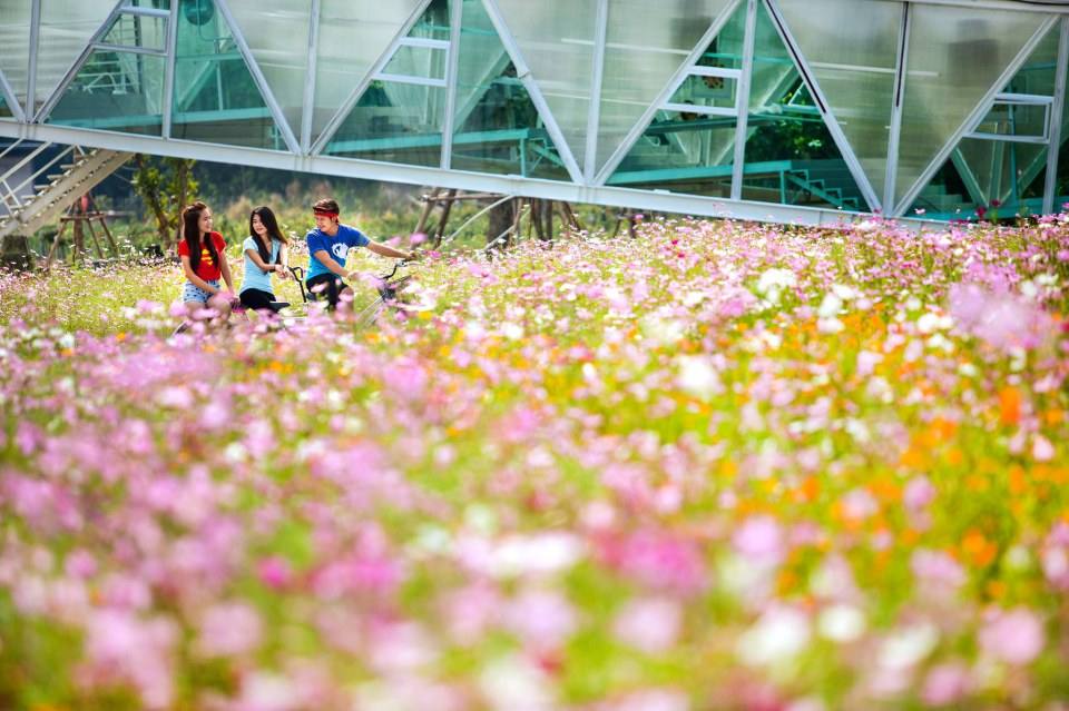 &ldquo;เพ ลา เพลิน&rdquo; พาเพลินในอุทยานดอกไม้มาแรงแห่งภาคอีสาน