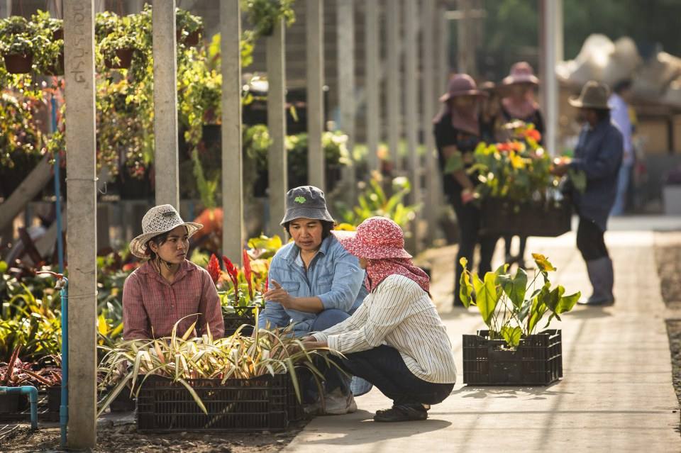 &ldquo;เพ ลา เพลิน&rdquo; พาเพลินในอุทยานดอกไม้มาแรงแห่งภาคอีสาน