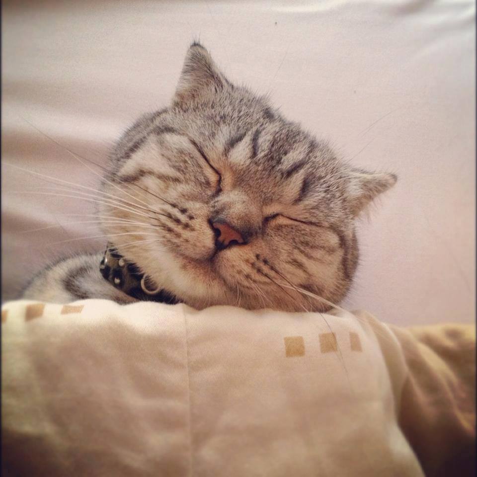 ทูลหัวของบ่าว น่ารักจริงๆเลย