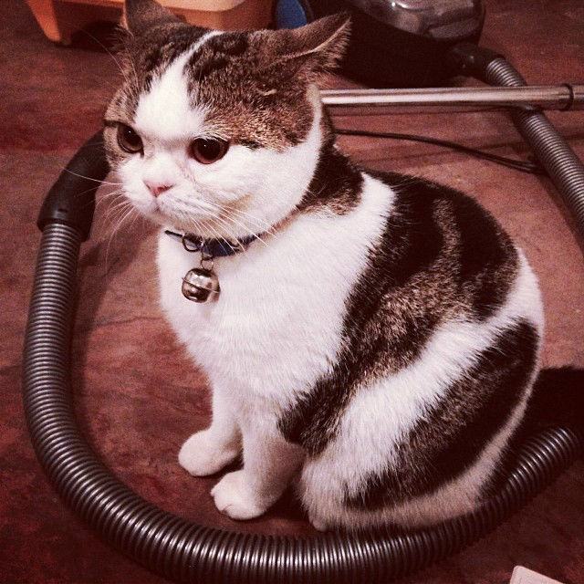 ทูลหัวของบ่าว น่ารักจริงๆเลย