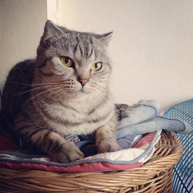 ทูลหัวของบ่าว น่ารักจริงๆเลย