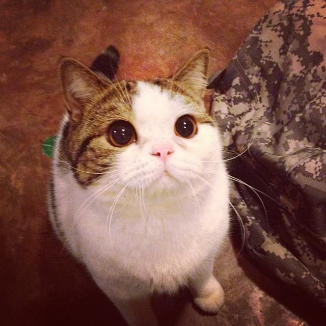 ทูลหัวของบ่าว น่ารักจริงๆเลย