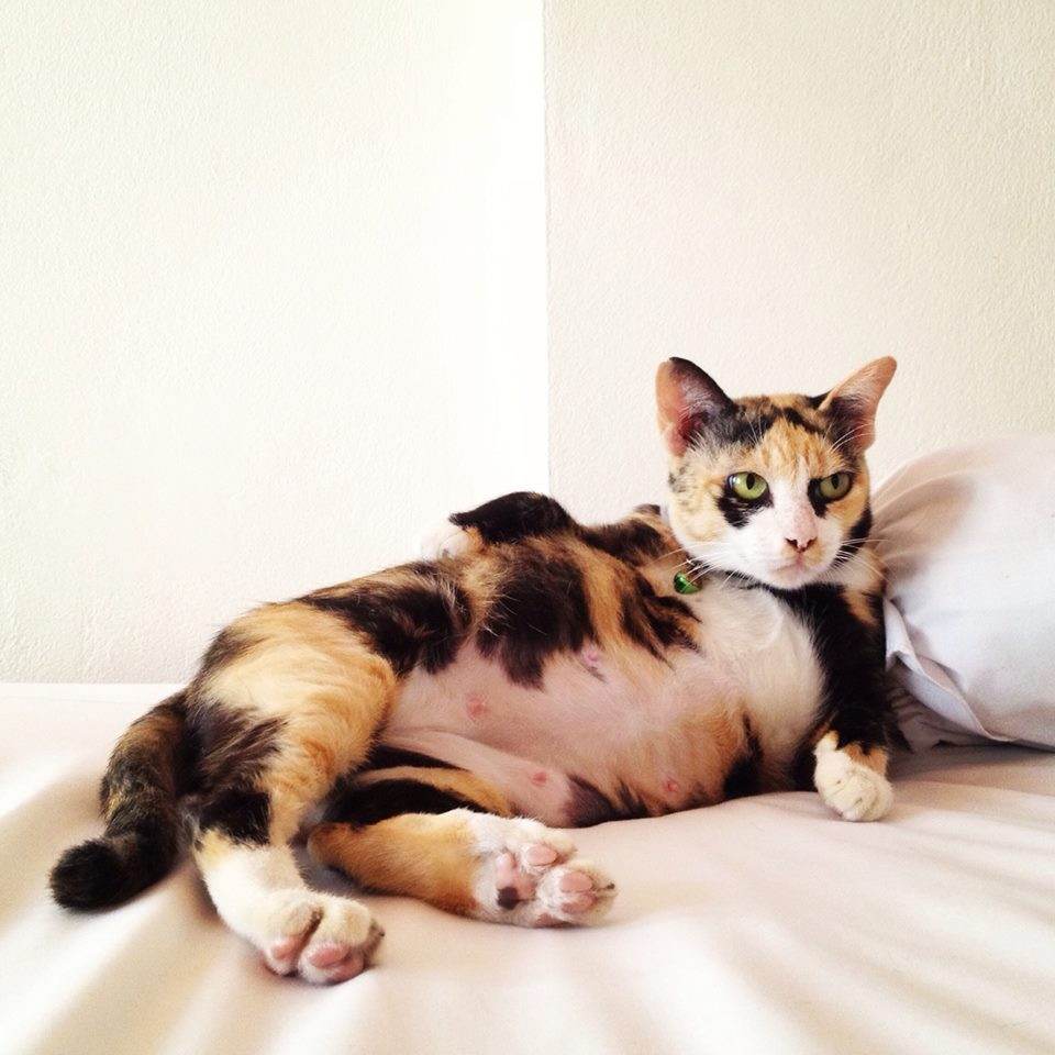 ทูลหัวของบ่าว น่ารักจริงๆเลย