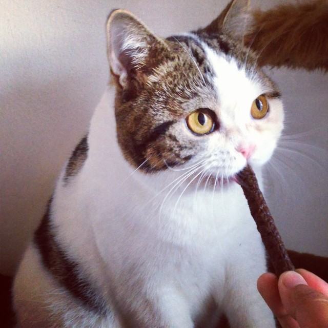 ทูลหัวของบ่าว น่ารักจริงๆเลย