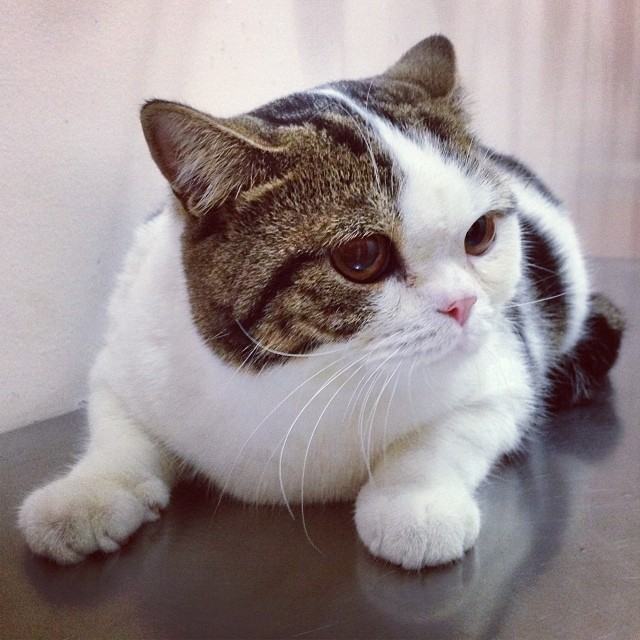 ทูลหัวของบ่าว น่ารักจริงๆเลย
