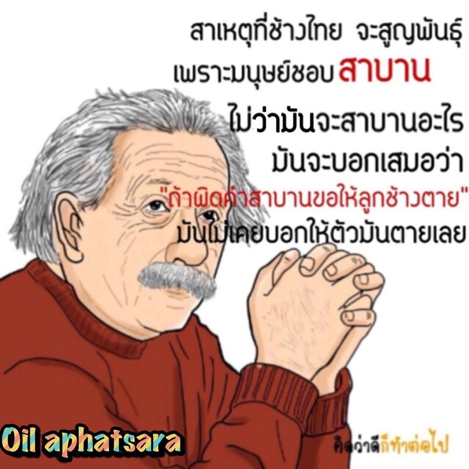 มุขฮาๆ จากเฟส