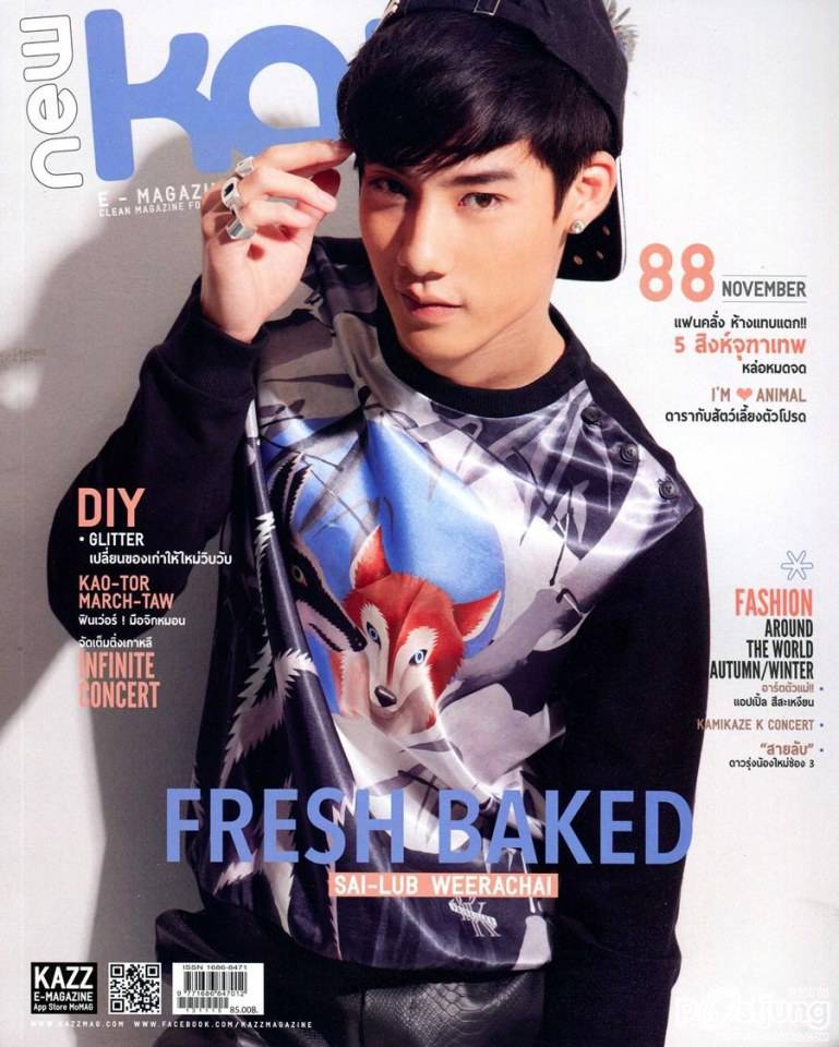 หนุ่มดาวรุ่งจากละครดัง