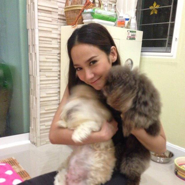 สภาพน้องหมาหลังจากส่งสุดสวย อั้ม พัช...ชีวิตมันเศร้า