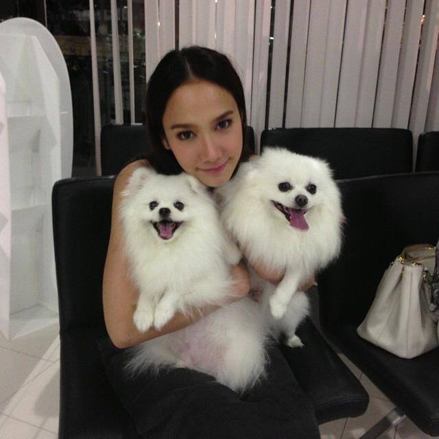 สภาพน้องหมาหลังจากส่งสุดสวย อั้ม พัช...ชีวิตมันเศร้า