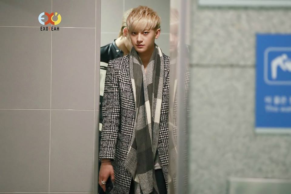 TAO EXO