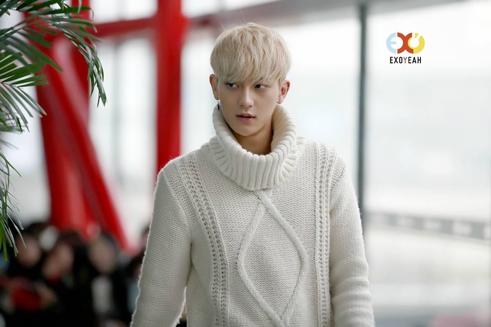 TAO EXO