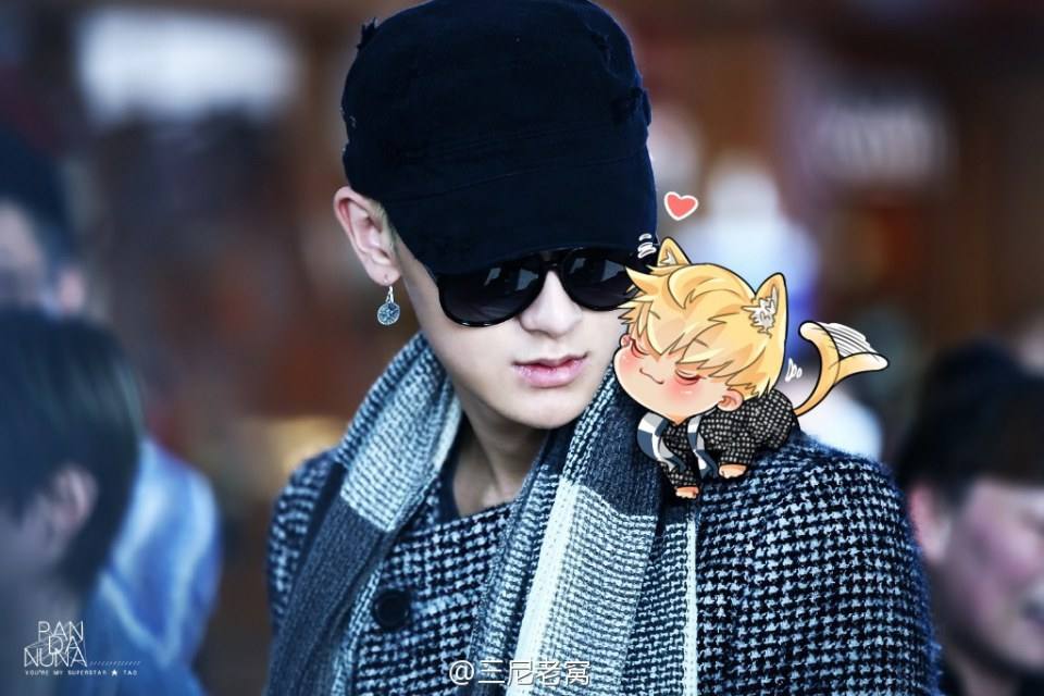 TAO EXO