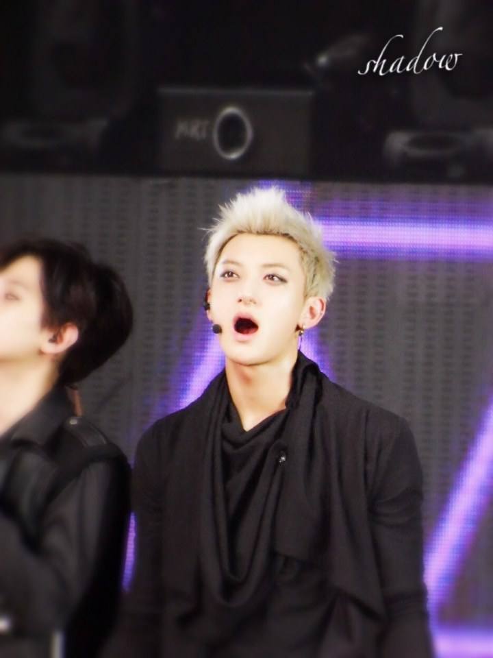 TAO EXO