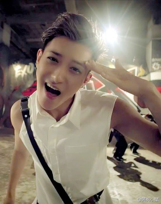 TAO EXO