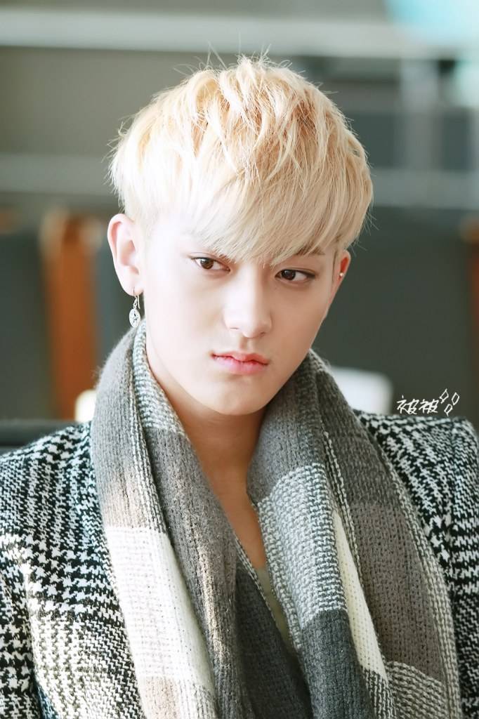 TAO EXO