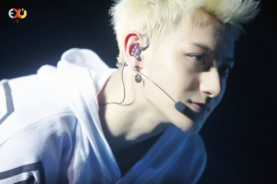 TAO EXO