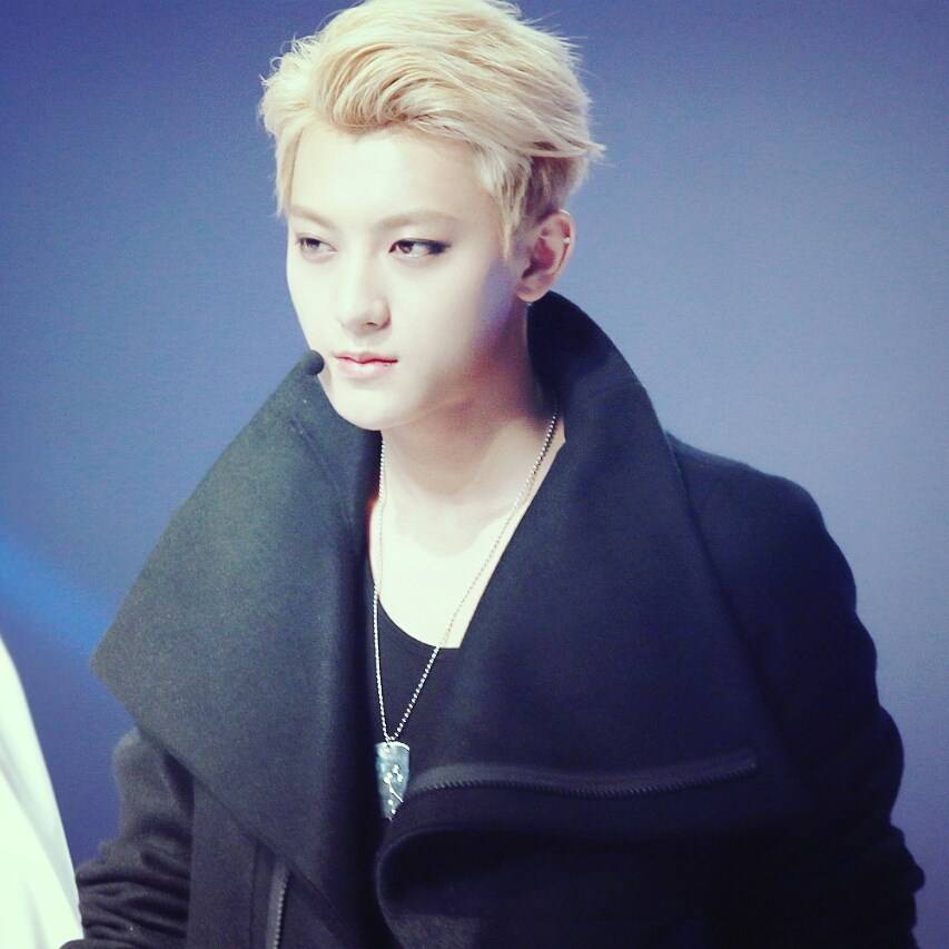 TAO EXO