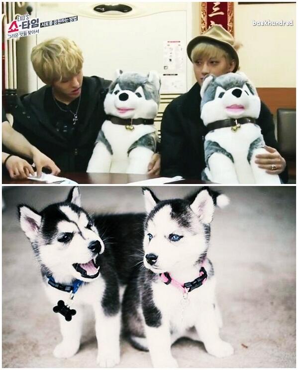 kristao คู่จิ้นตัวสูง