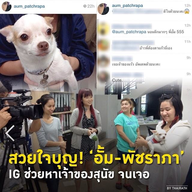 สวยใจบุญ! 'อั้ม-พัชราภา' IG ช่วยหาเจ้าของสุนัข จนเจอ