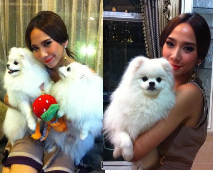 สวยใจบุญ! 'อั้ม-พัชราภา' IG ช่วยหาเจ้าของสุนัข จนเจอ