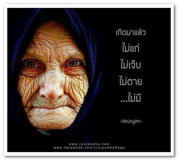 คติพจน์คติธรรมดีๆ