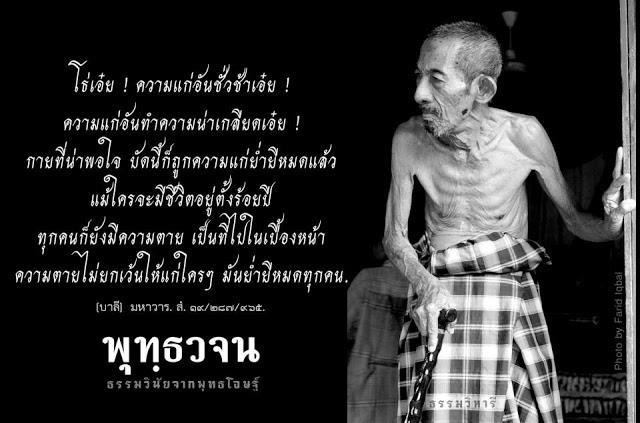 คติพจน์คติธรรมดีๆ