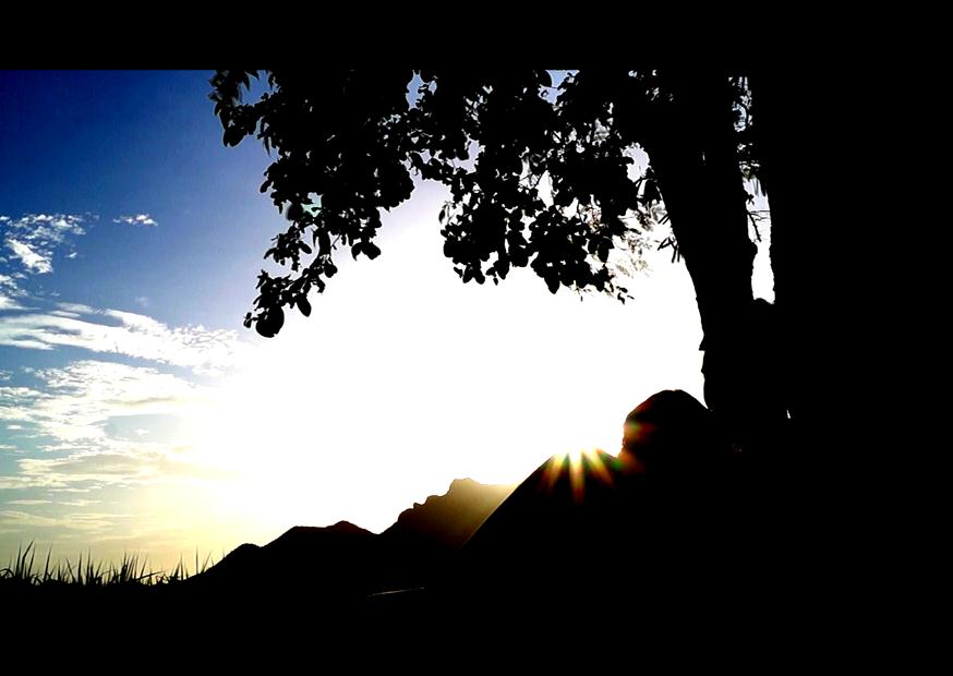 ภาพจากภาพยนตร์ ตะเคียน